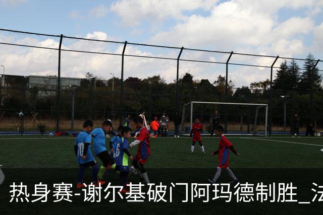 热身赛-谢尔基破门阿玛德制胜 法国1-2遭科特迪瓦逆转